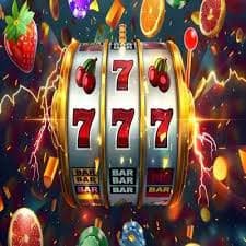 2444 bat